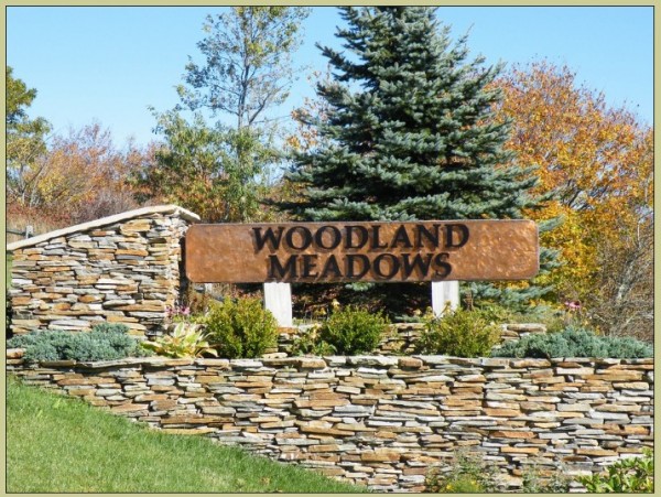 woodland meadows