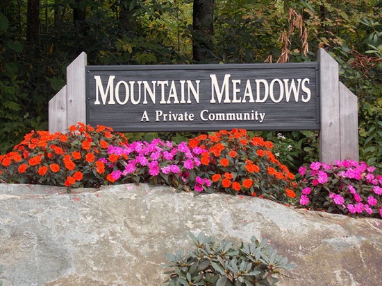 mountain meadows