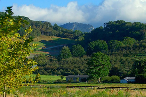 The Farm at Banner Elk