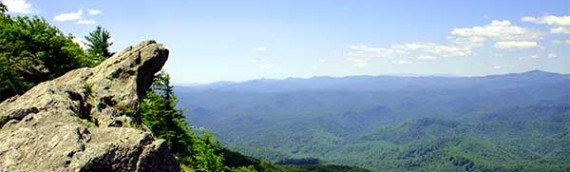 The Peak Report: The Five Biggest Mistakes Made by Home Sellers  in the North Carolina High Country