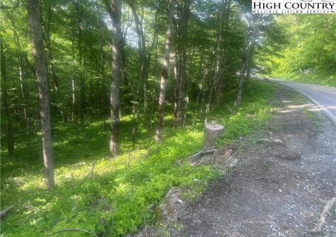 LAND – Grouse Moor Drive Unit #LOT 152, Sugar Mountain, NC 28604