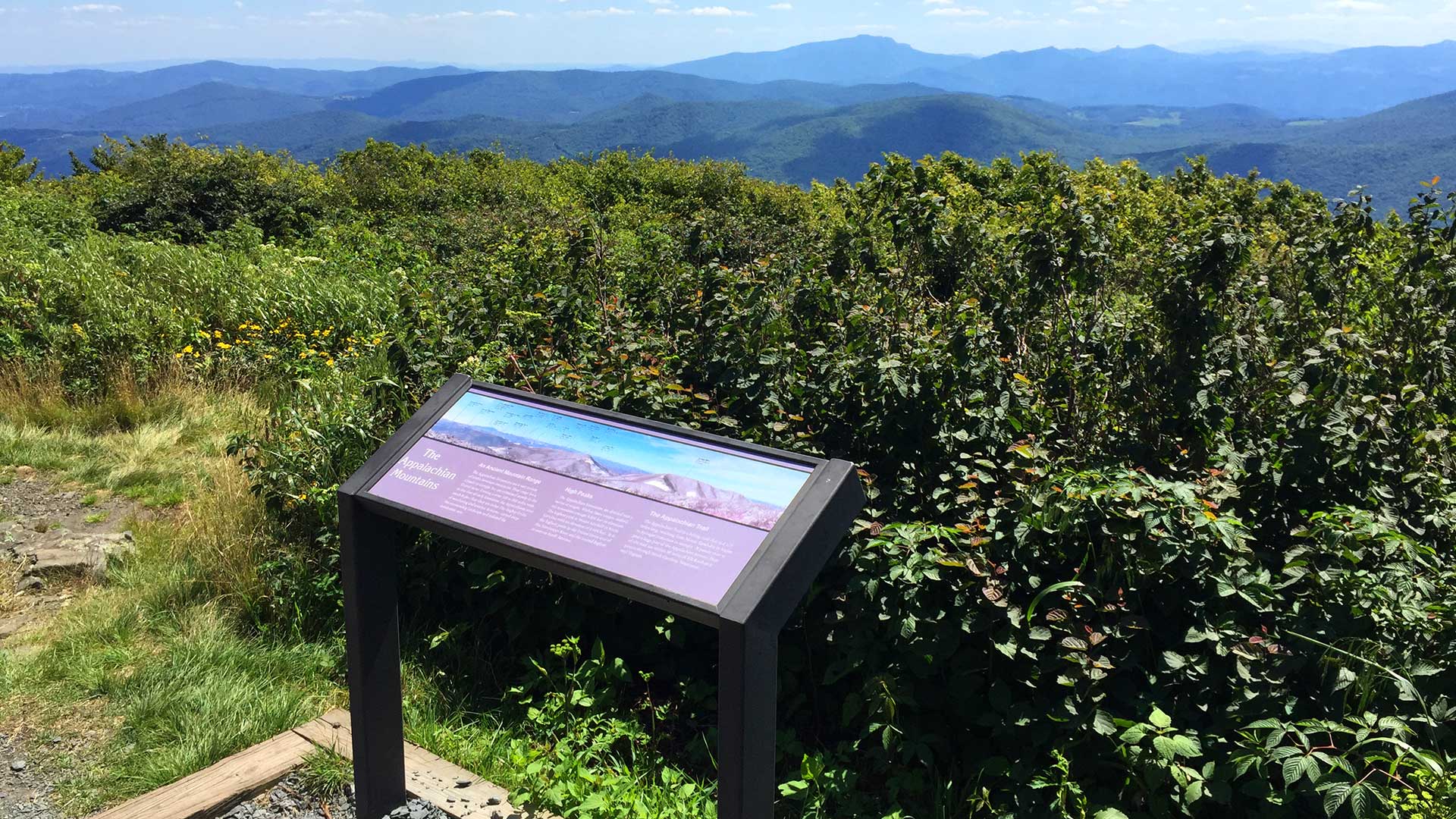 Elk Nob Summit Trail Boone NC